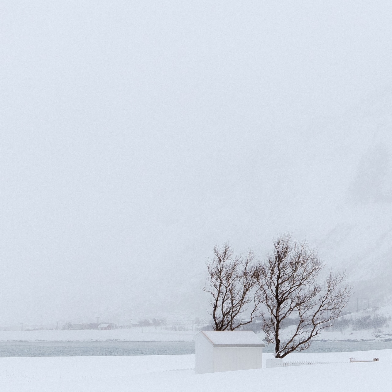 Zen.nl, Zen, meditatie, leren mediteren, foto